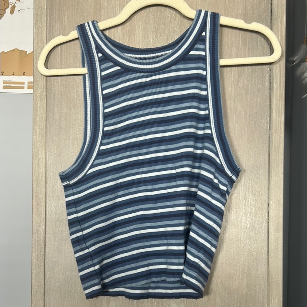 Aerie Blue and White Striped Crop Tank Top